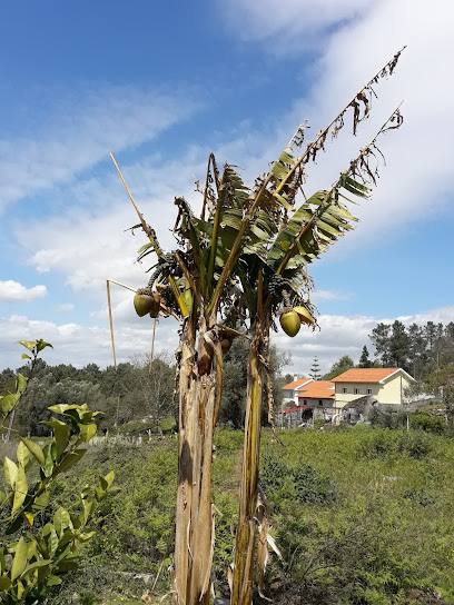 Loja de ferragens Benigno Gonçalves Pombo & Filhos Lda.